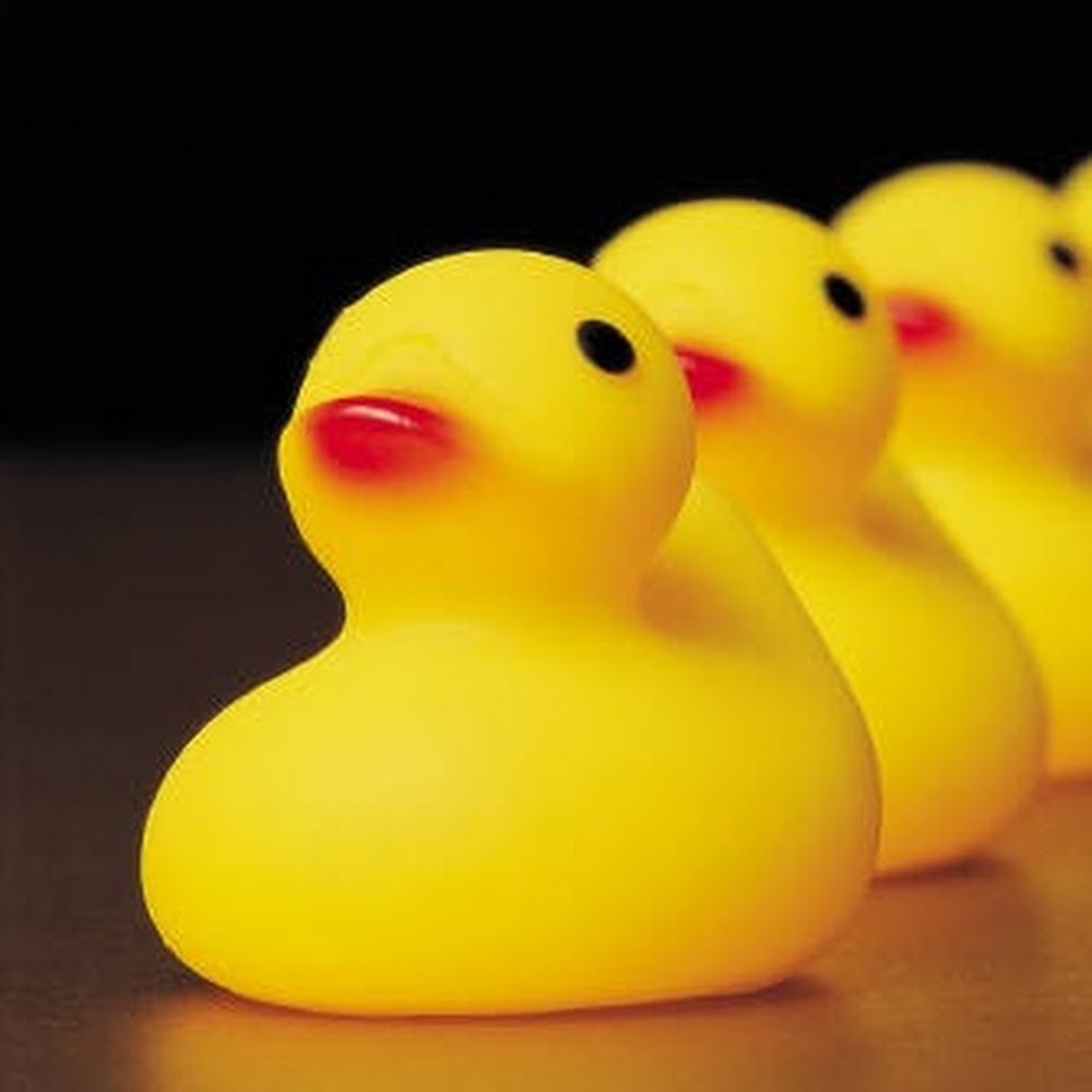 Meet your Posher, Danny